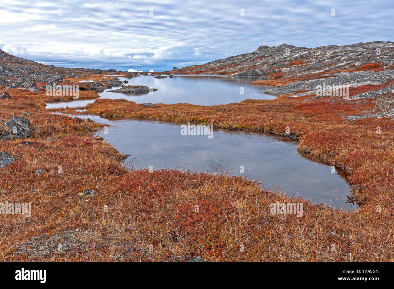 Les étangs de toundra dans le haut Arctique près du fjord glacé d'Ilulissat, Groenland. Banque D'Images