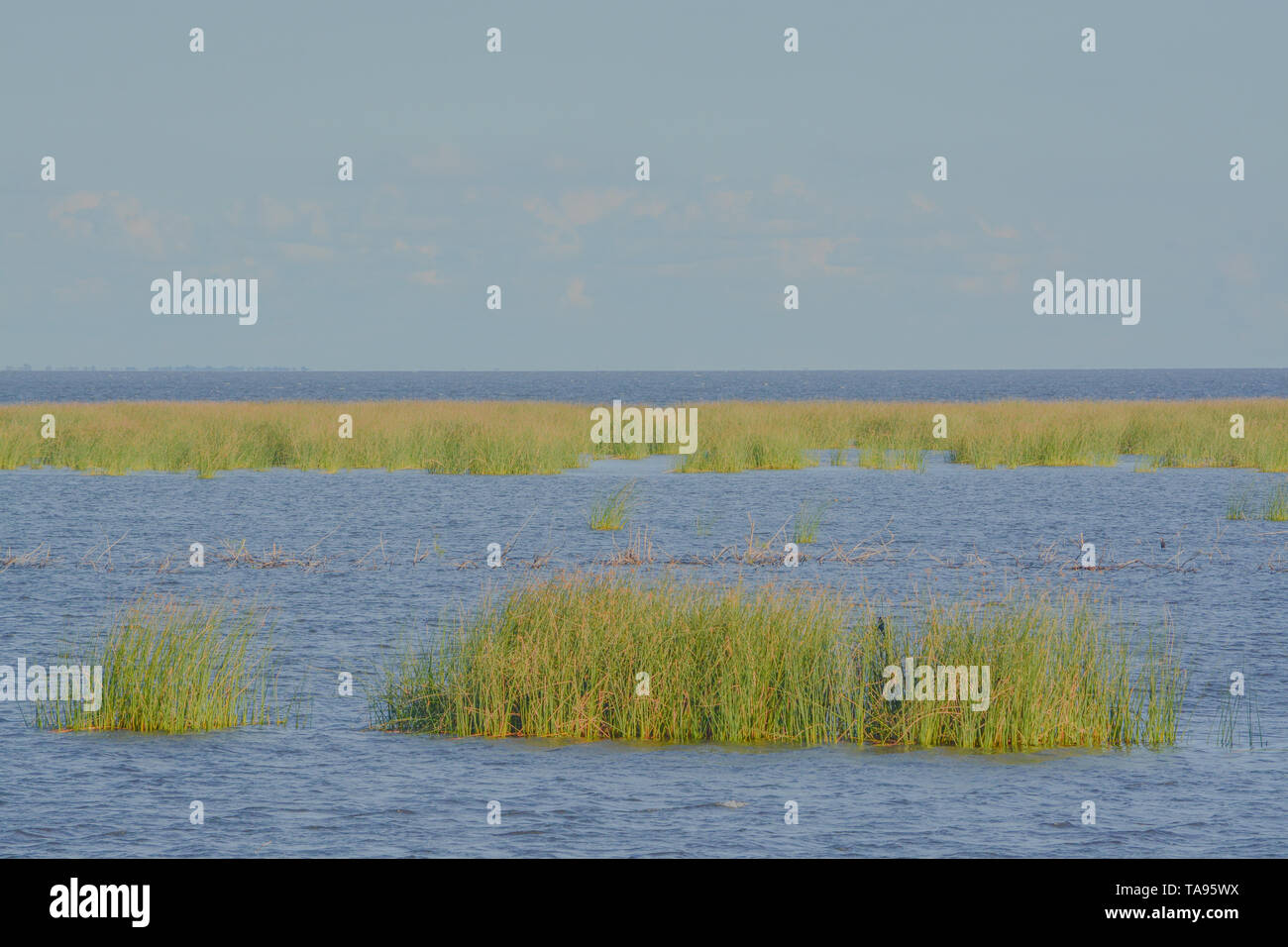 Lake okeechobee Banque de photographies et d'images à haute résolution -  Alamy