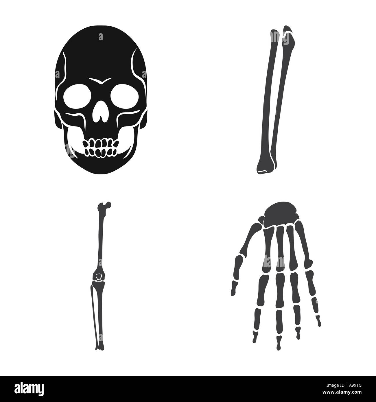 Crâne,fémur genou,poignet,mort,,joints,monster,ménisque,jambe,calcium,le mal,body,horreur,structure,tibia,pied,tatouage,bras,péroné,carpe,head,chirurgie,alignement,santé,dommage,oeil,xray,l'enfer,,biologie,médical,os,squelette humain,anatomie organes,médecine,clinique,,set,icône,,illustration,collection,isolé,design,graphisme,élément,signer,Black,de simples vecteurs vecteur , Illustration de Vecteur