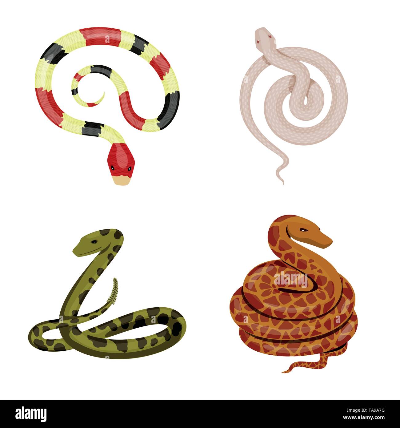 Viper,serpent,coral,blanc,rouge,python,animal,la queue,noir,vert,spirale tropiques,jungle,pharmacie,anaconda serpent,peur,poison,royal,le mal,dommage,morsure,peau,reptiles,mammifère,nature,danger,médecine,,set,icône,,illustration,collection,isolé,design,graphisme,élément signe,caricature,couleur,vecteurs vecteur, , Illustration de Vecteur