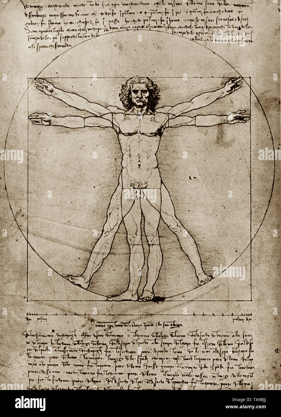 Leonardo Da Vinci - Proportions Figure humaine Homme de Vitruve 1492 Banque D'Images