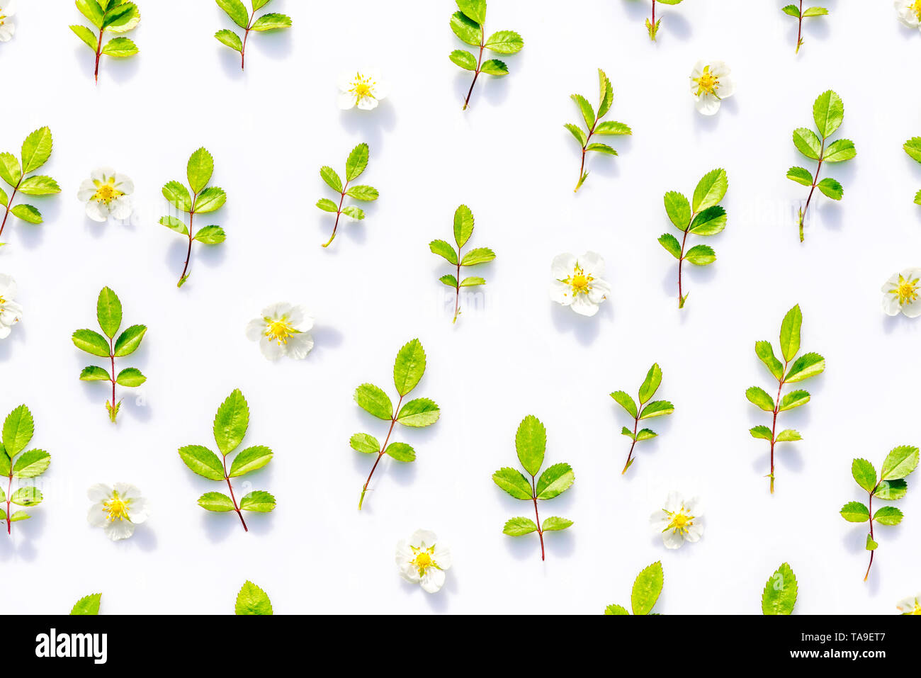 Les fleurs et les feuilles à plat modèle floral design Banque D'Images