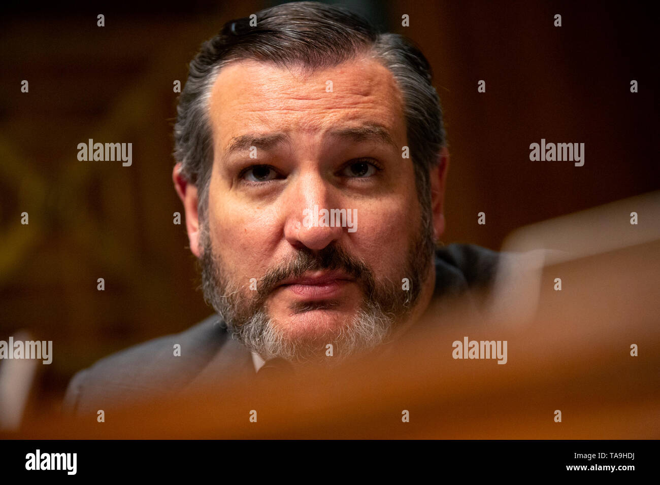 Le sénateur américain Ted Cruz (républicain du Texas) prend la parole à l'audience de confirmation de Daniel Bress pour devenir un juge de circuit des États-Unis pour le neuvième circuit, ainsi que la nomination de plusieurs juges de district sur la colline du Capitole à Washington, DC, États-Unis, le 22 mai 2019. Credit : Stefani Reynolds/CNP/MediaPunch Banque D'Images