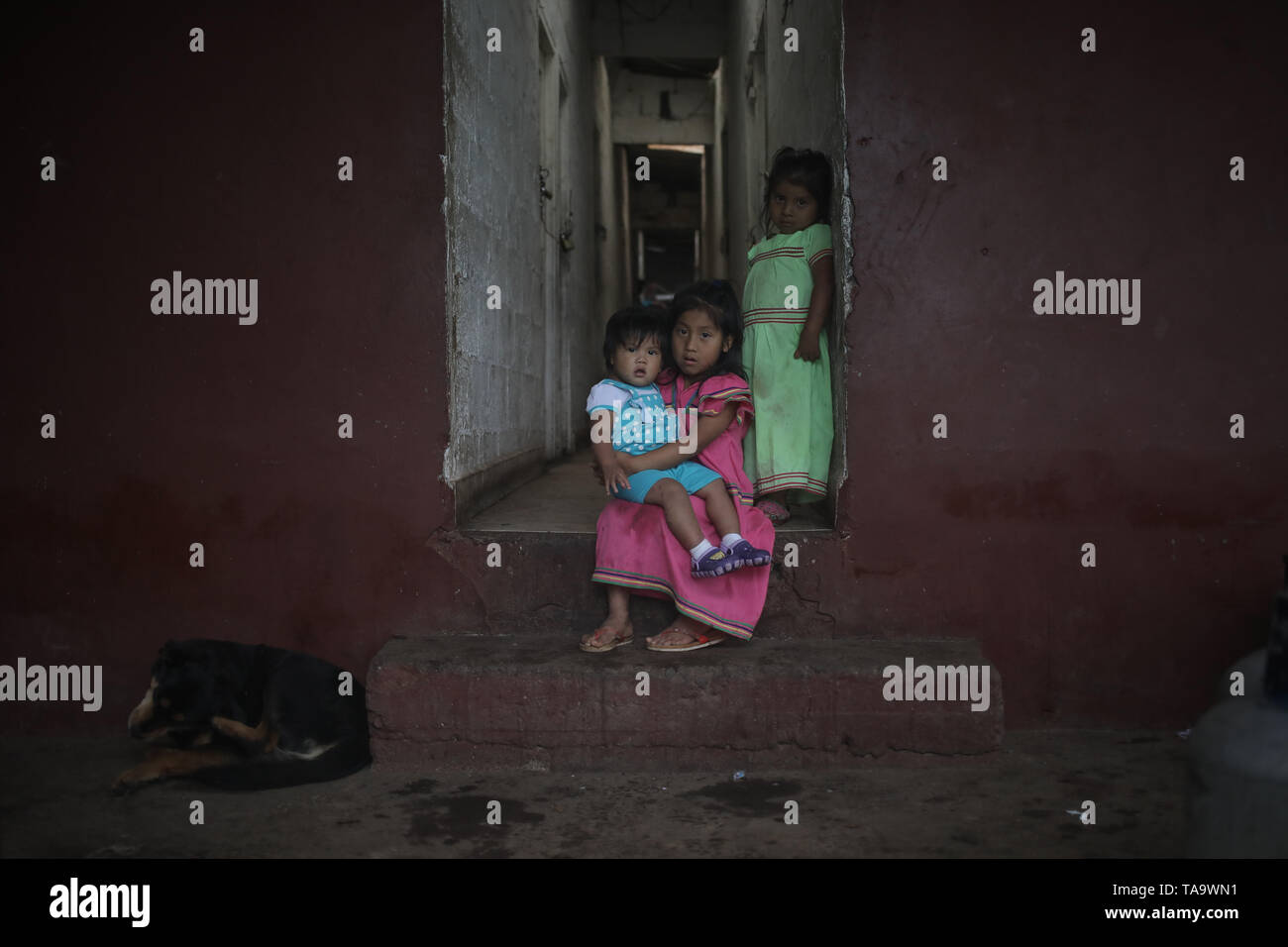 22 mai 2019, Panama, Boquete : Les filles du groupe ethnique Ngabe-Buglé s'asseoir à l'entrée de leurs vacances sur le terrain de l'Lamastus Family Estate farm à Boquete, une région célèbre pour ses variétés de café. 'Geisha', une variété de café cultivé dans cette région à une altitude de 1200-1700 mètres, atteint un prix de 803 dollars la livre en 2018. Dans un café de San Francisco la tasse 'Geisha' est servi pour 75 dollars. "Cela ne veut pas nécessairement parler de la qualité de ce café," dit Wilford Lamastus expert Jr., qui travaille pour l'arrêt Elida Estate. "Le prix a été atteint grâce à la très grande Asian Banque D'Images