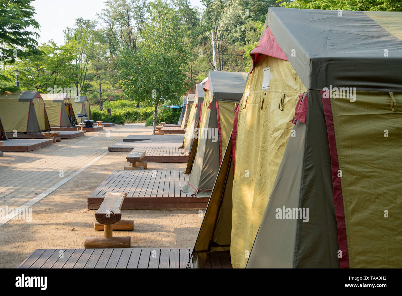 Sur le terrain de camping Tentes prêt à utiliser pour tous Banque D'Images