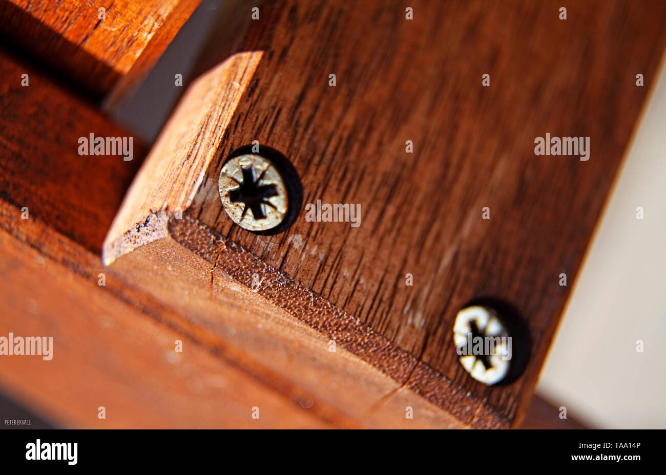 Deux vis dans la planche en bois Banque D'Images