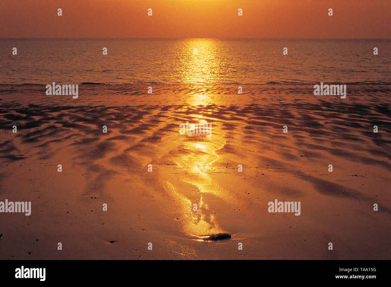 Coucher de soleil sur Tithal beach, Gujarat, Inde, Asie Banque D'Images