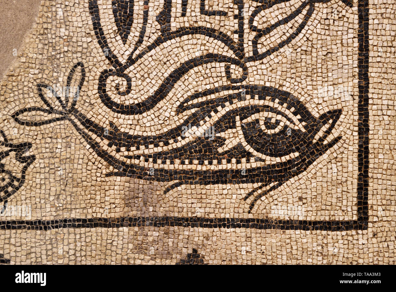 Mosaïque romaine représentant un dauphin. 2e siècle de notre ère. Museo Nacional de Arte Romano (Musée National d'art romain). Merida, Espagne Banque D'Images