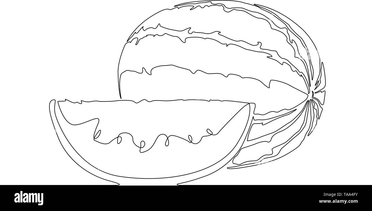 Ligne continue ou melon pastèque de dessin. Vector illustration. Illustration de Vecteur