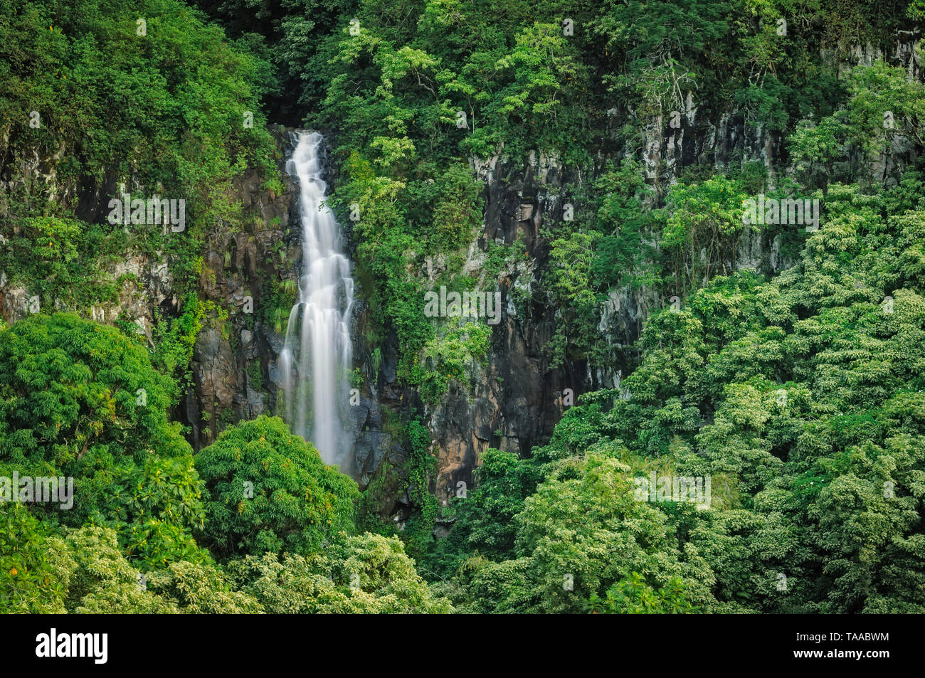 Wailua Falls, District de Kipahulu, Hana Coast, Maui, Hawaii. Banque D'Images