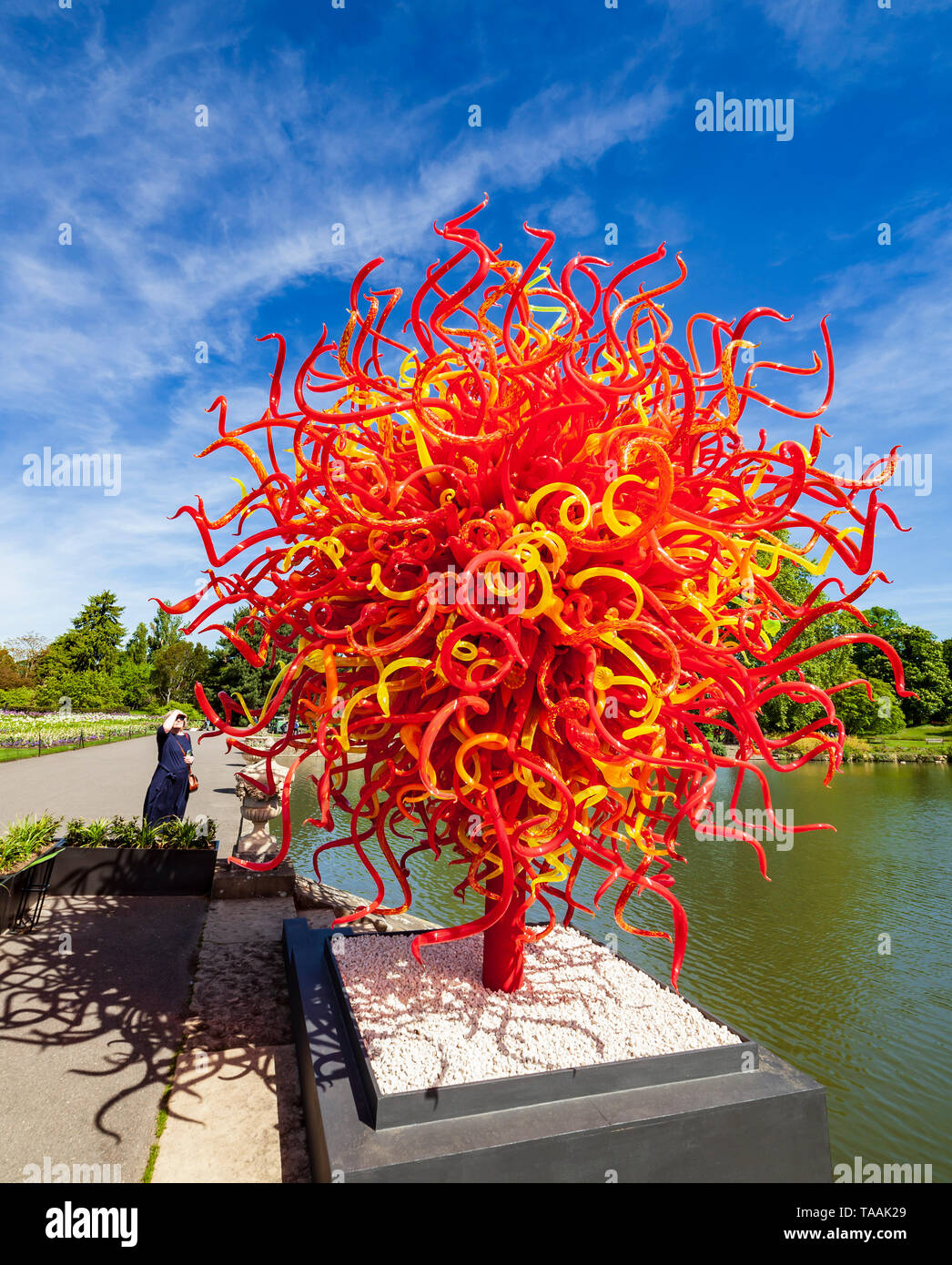 Dale Chihuly glass sculpture intitulée 'Summer Sun' à Kew Gardens. Banque D'Images