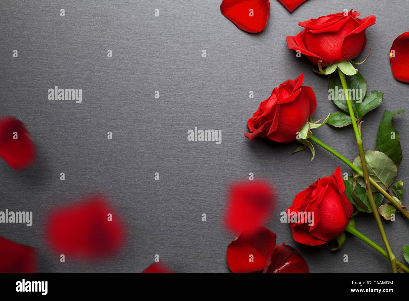 Roses rouges fond avec pétales chute Banque D'Images