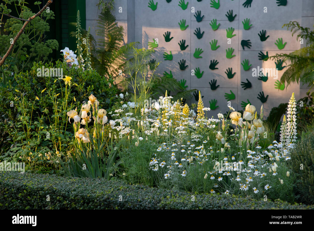 La charité les doigts verts jardin, un spectacle jardin au RHS Chelsea Flower Show 2019, Londres, Royaume-Uni Banque D'Images