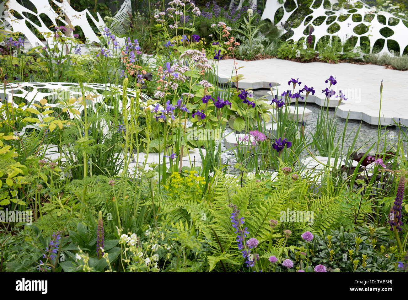 Le Jardin de Manchester dans l'espace pour pousser à la catégorie RHS Chelsea Flower Show 2019, Londres, Royaume-Uni Banque D'Images