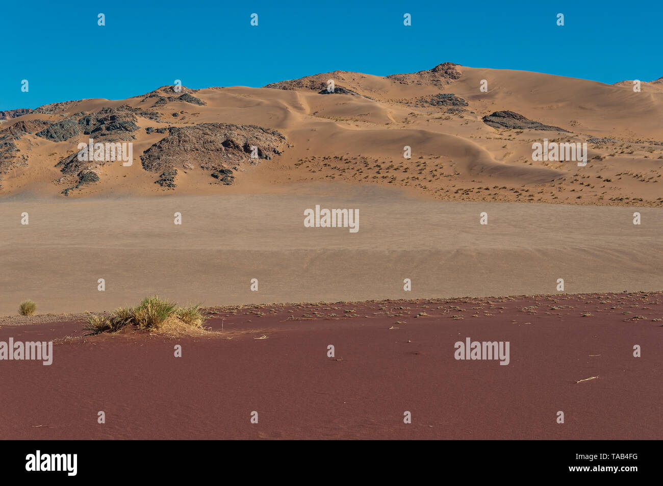 Dunes du désert du namib en Namibie. Banque D'Images