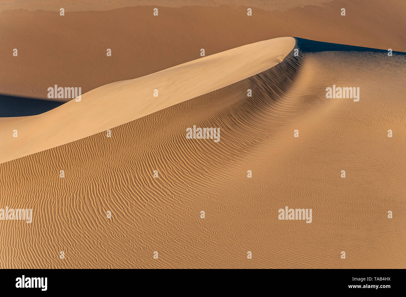 Dunes du désert du namib en Namibie. Banque D'Images