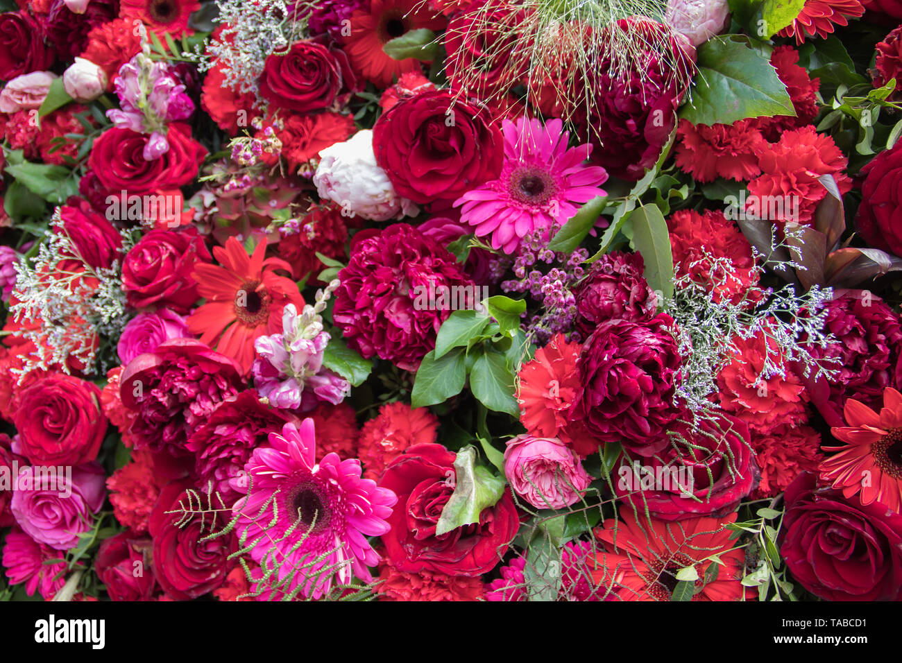 Immense et magnifique mur de Fleurs 1000 Banque D'Images
