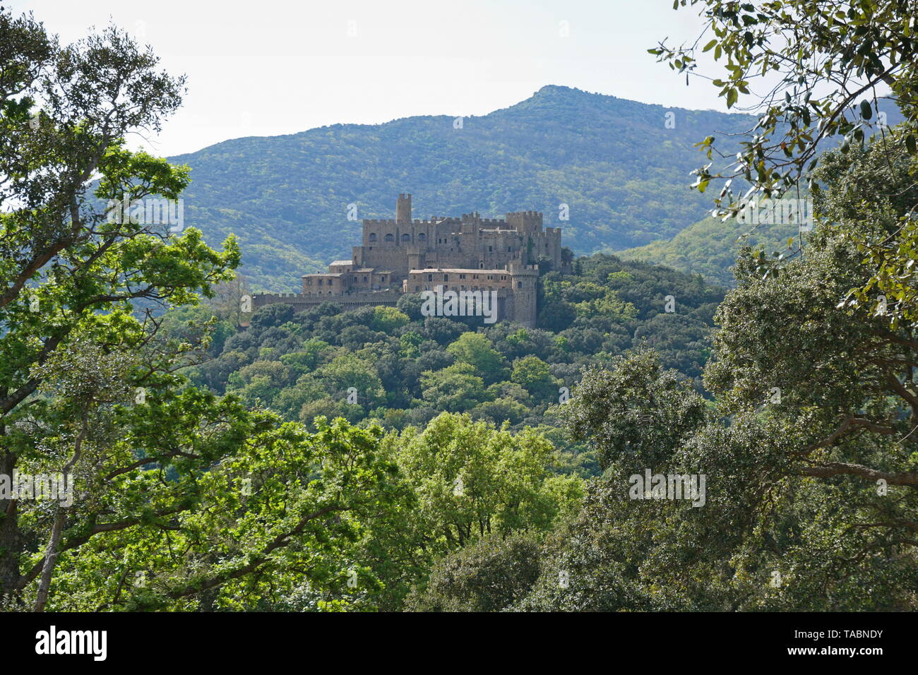 Requesens château entouré d'une forêt, massif de l'Albera, Alt Emporda, Gérone province, Catalogne, Espagne Banque D'Images