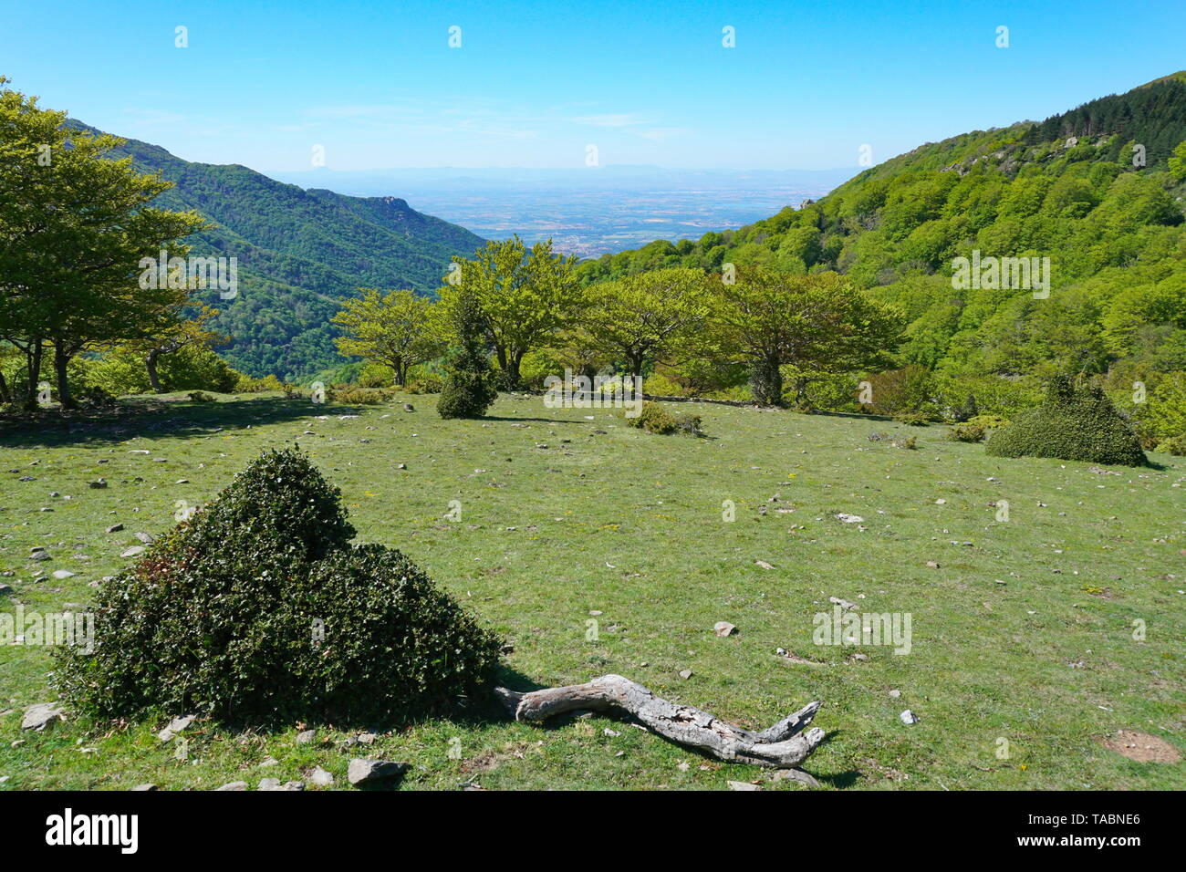 France paysage dans les Pyrénées avec la plaine du Roussillon en arrière-plan, le massif des Alberes, Pyrénées-Orientales Banque D'Images