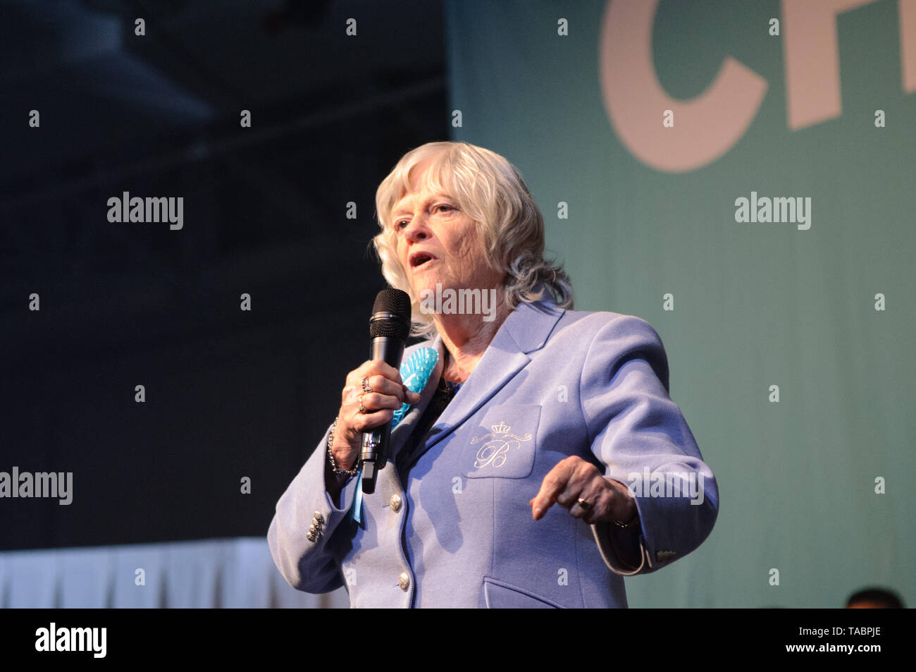 Brexit Ann Widdecombe aborder la partie rassemblement à Londres Olympia le 21 mai 2019 avant les élections au Parlement européen vote sur le 23 mai Banque D'Images