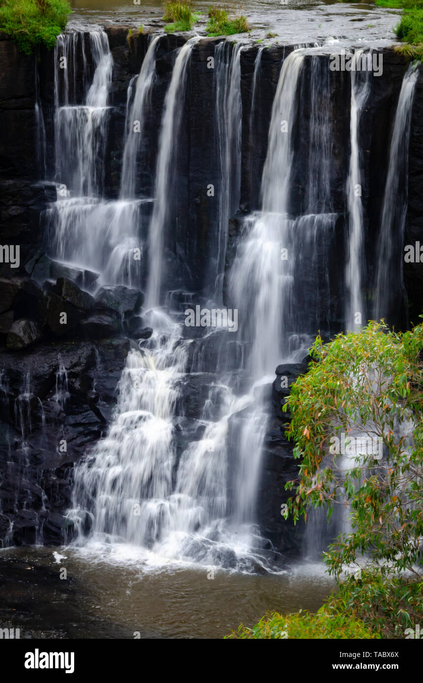 Victoria Falls, près de Dorrigo, New South Wales, Australie Banque D'Images