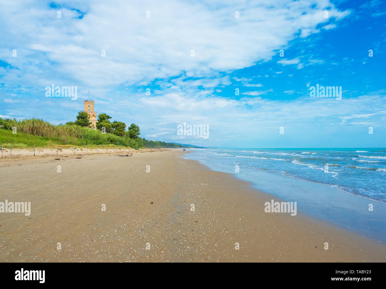 (Italie) - La plage de sable de touristique Abruzzes avec la grande forêt de pins et la célèbre tour château appelé Torre di Cerrano Banque D'Images