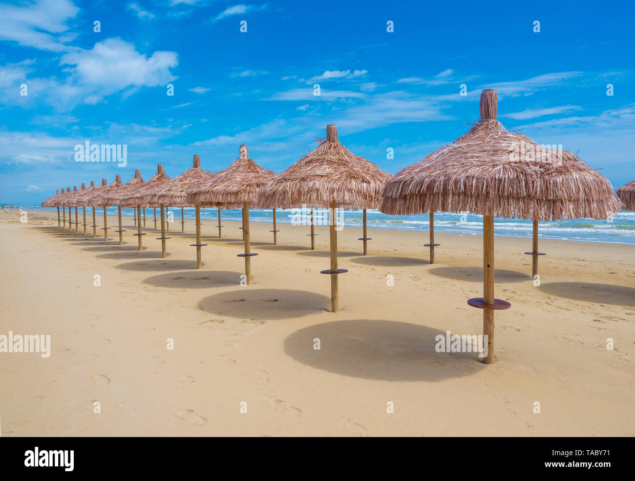 (Italie) - La plage de sable de touristique Abruzzes avec la grande forêt de pins et la célèbre tour château appelé Torre di Cerrano Banque D'Images