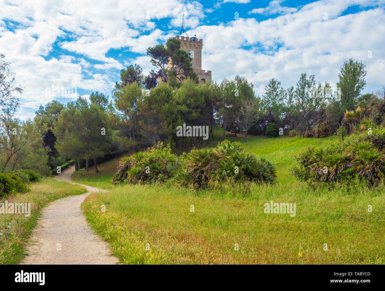 (Italie) - La plage de sable de touristique Abruzzes avec la grande forêt de pins et la célèbre tour château appelé Torre di Cerrano Banque D'Images