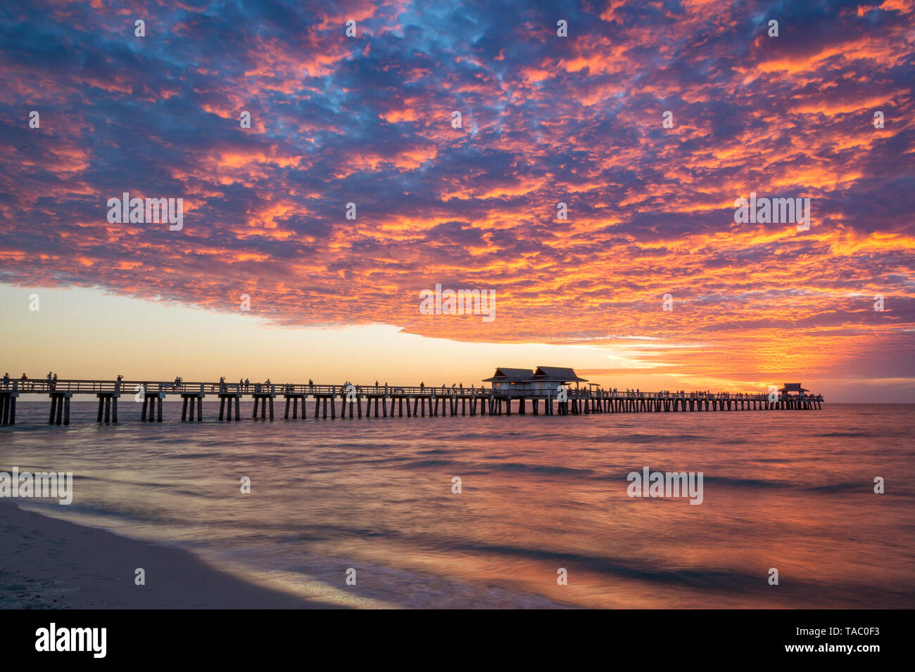 Alto-Sunset colorés sur la jetée, Naples, Florida, USA Banque D'Images