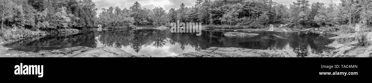 Photo monochrome grand angle avec vue sur petit étang et forêt environnante Banque D'Images