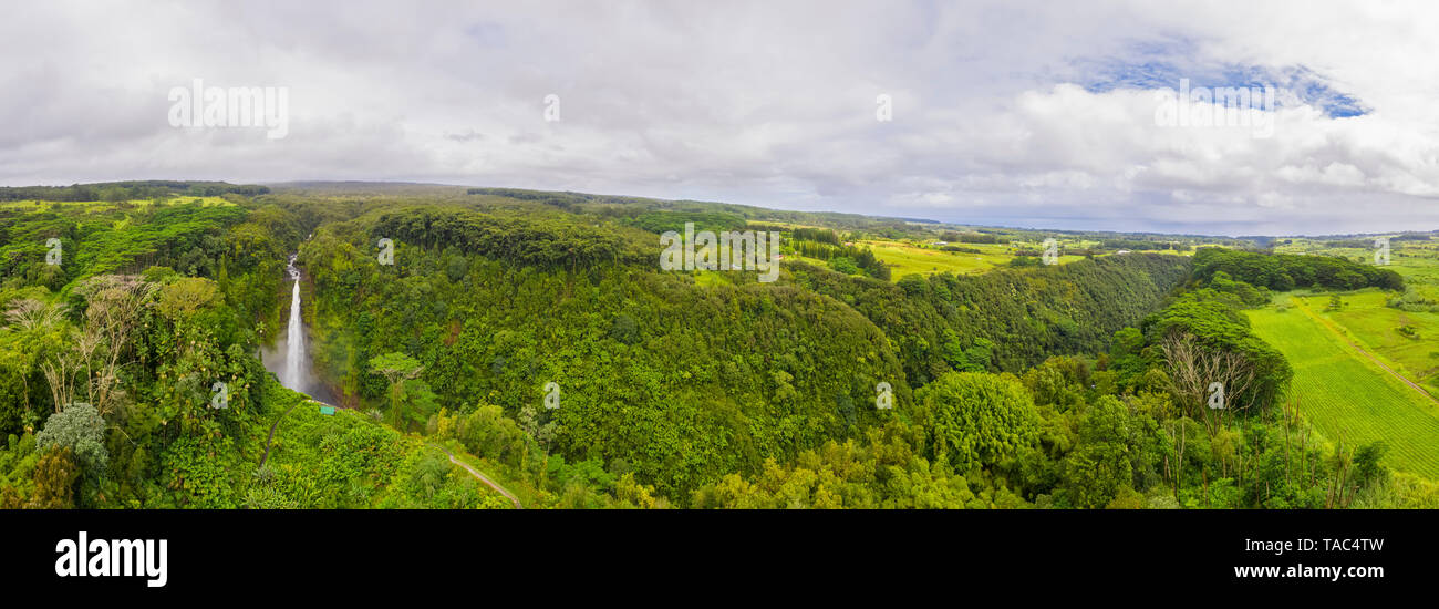 USA, Hawaii, Big Island, Akaka Falls State Park, vue aérienne sur Akaka Falls et Kolekole Stream Banque D'Images