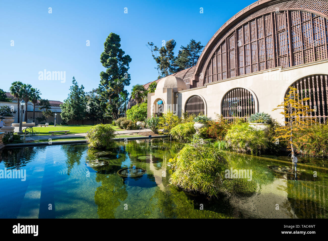 États-unis, Californie, San Diego, Balboa Park, Botanical Building Banque D'Images