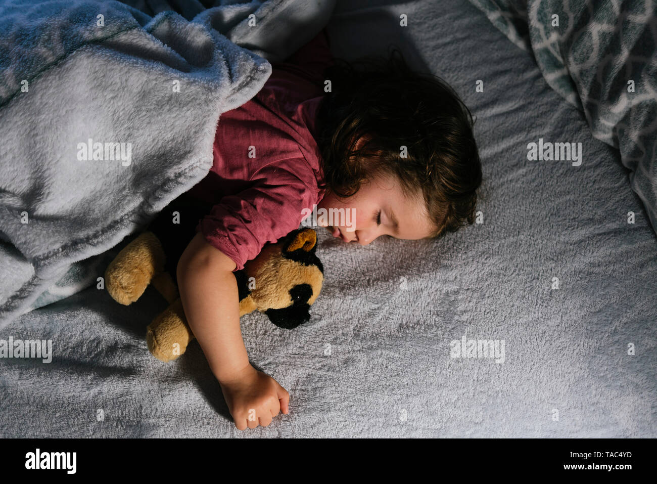 Bébé fille dormir dans le lit avec un soft toy dog Banque D'Images