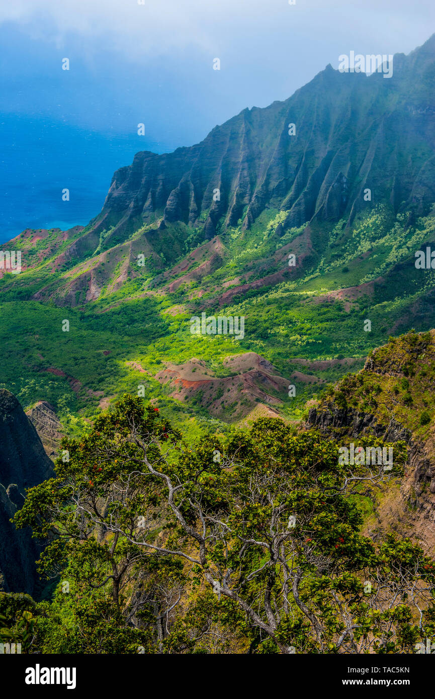 USA, Hawaii, Kalalau lookout au cours de la côte Napali du Kokee state park Banque D'Images