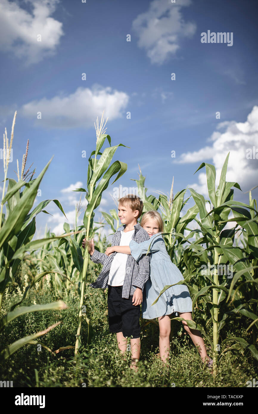 Garçon et fille debout dans un champ de maïs Banque D'Images