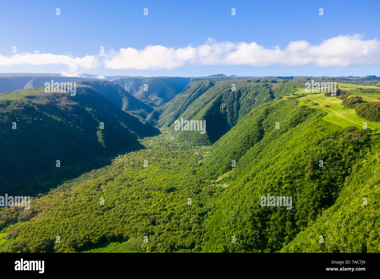 USA, Hawaii, Big Island, la Vallée de Pololu, vue aérienne Banque D'Images