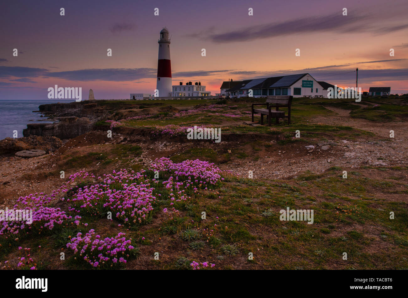 Portland, Dorset, UK. 23 mai 2019. Météo France : Le soleil se couche derrière l'emblématique Portland Bill lighthouse sur l'Île de Portland à la fin d'une belle journée de printemps. La sea thrift roses délicates fleurs sont en pleine floraison rendant le phare particulièrement pittoresque à cette époque de l'année. Credit : Celia McMahon/Alamy Live News. Banque D'Images