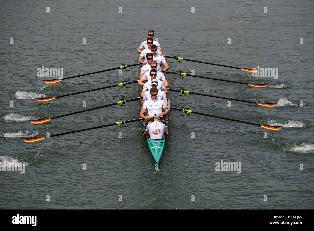 À partir de l'homme de barre Martin SAUER, Hannes OCIK batteur, Richard SCHMIDT, Malte JAKSCHIK, Christopher REINHARDT, goalben JOHANNESEN, Jakob SCHNEIDER, Laurits FOLLERT, Johannes WEISSENFELD, action. Présentation Germany-Achter, aviron, le 23.05.2019 à Dortmund/Allemagne. Dans le monde d'utilisation | Banque D'Images