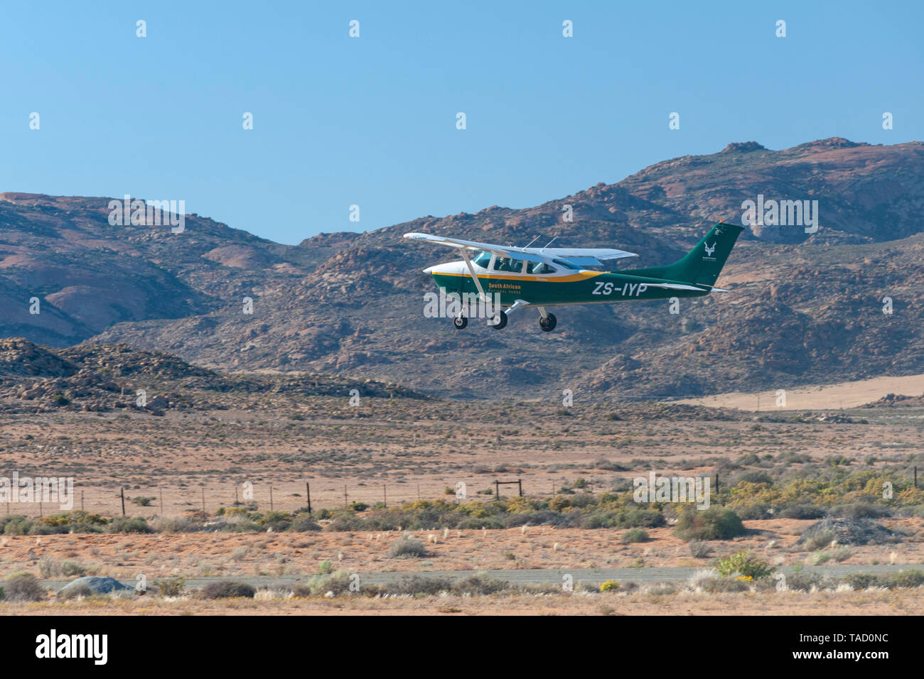 Le Cessna 182 Skylane SANParks décoller de l'aérodrome de Springbok dans le Nord de la Province du Cap, Afrique du Sud. Banque D'Images