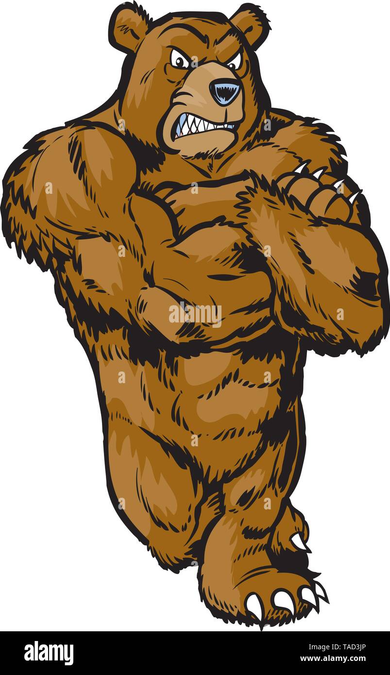 Vector cartoon clip art illustration d'une mascotte ours caricature musculaire moyenne dans une posture. Illustration de Vecteur