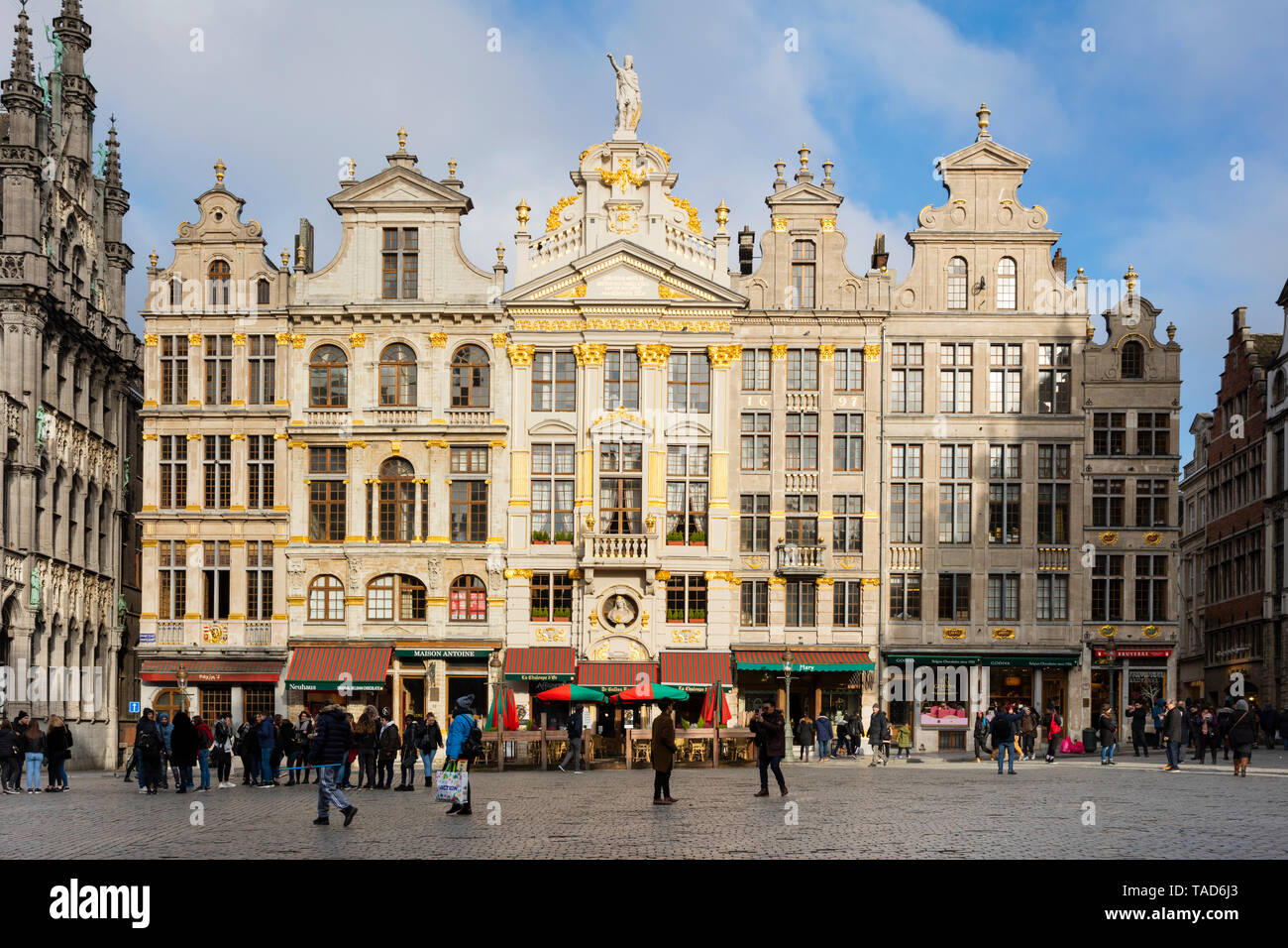 Belgique, Bruxelles, Grand Place, maisons de guilde Banque D'Images