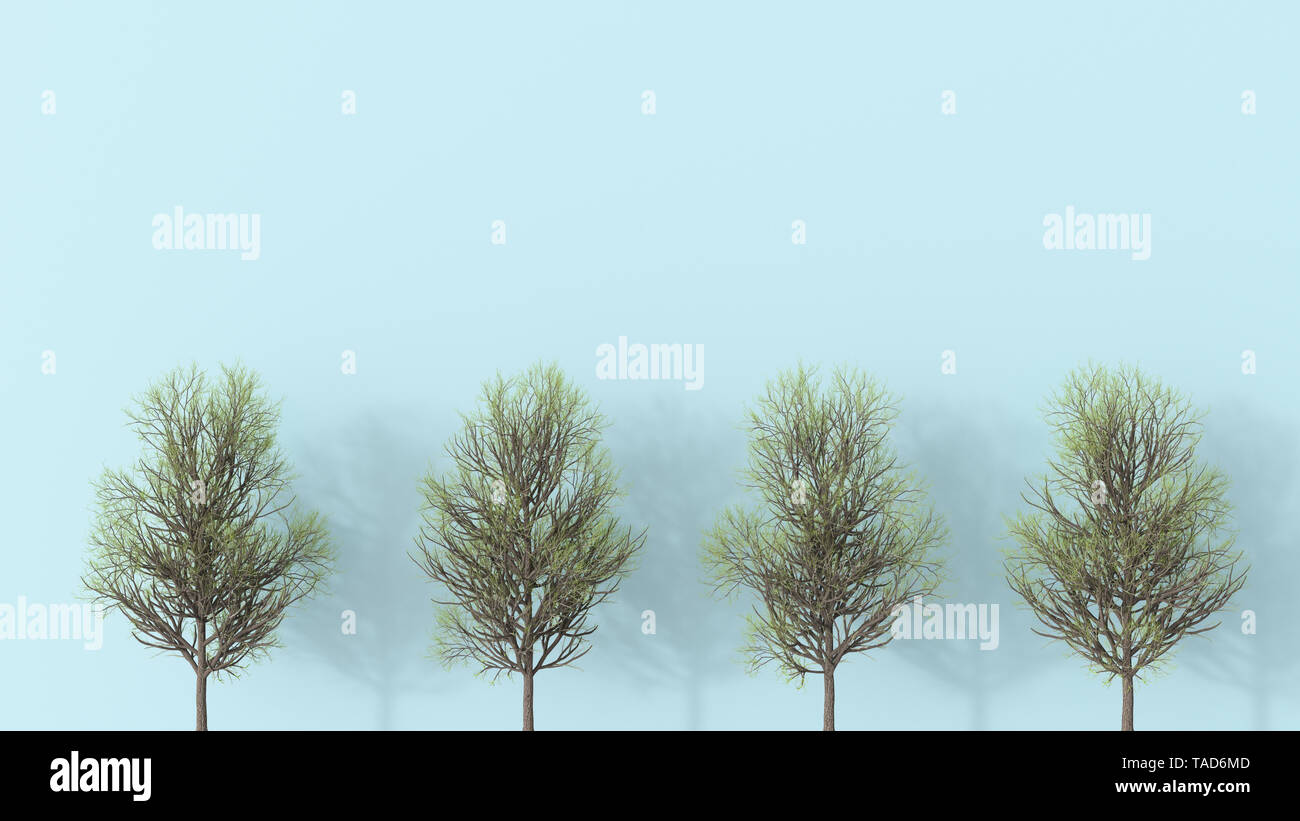 Rendu 3D, rangée d'arbres nus Banque D'Images