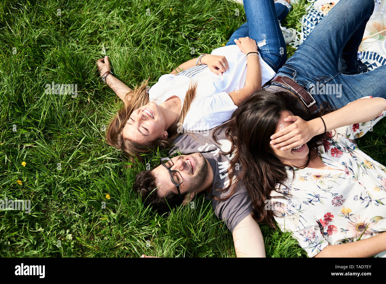 Vue de dessus de happy friends lying in a meadow in park Banque D'Images
