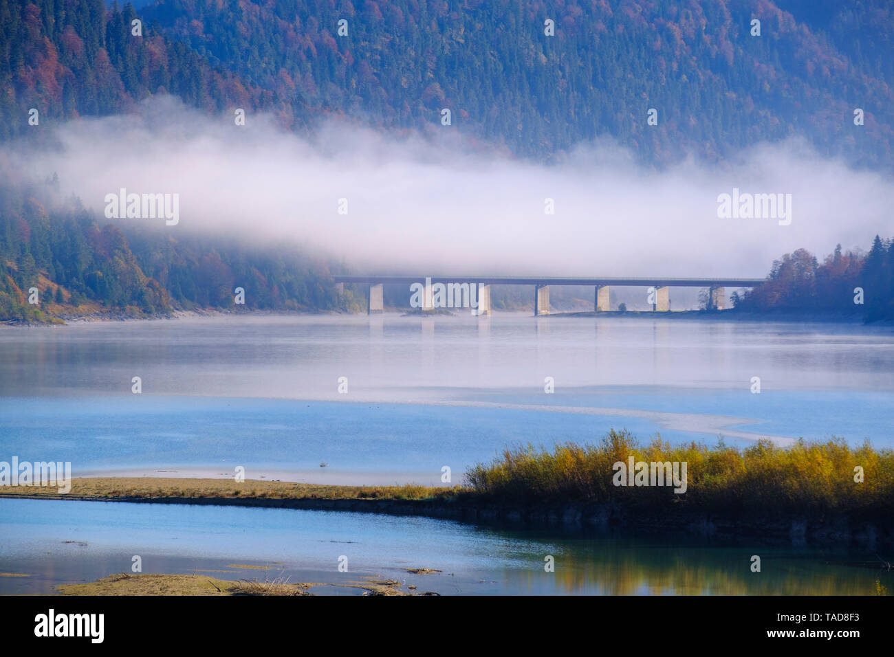 Allemagne, Bavière, Isarwinkel, près de Bad Tölz, Sylvenstein barrage dans la brume du matin Banque D'Images