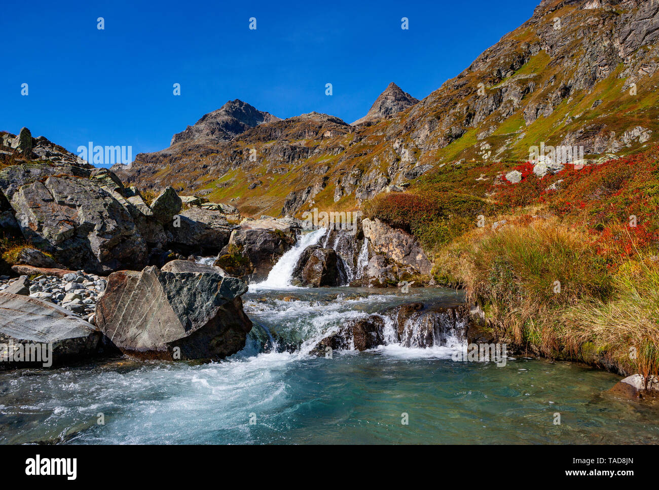 Autriche, Vorarlberg, Silvretta, Klostertal, ruisseau de montagne Banque D'Images