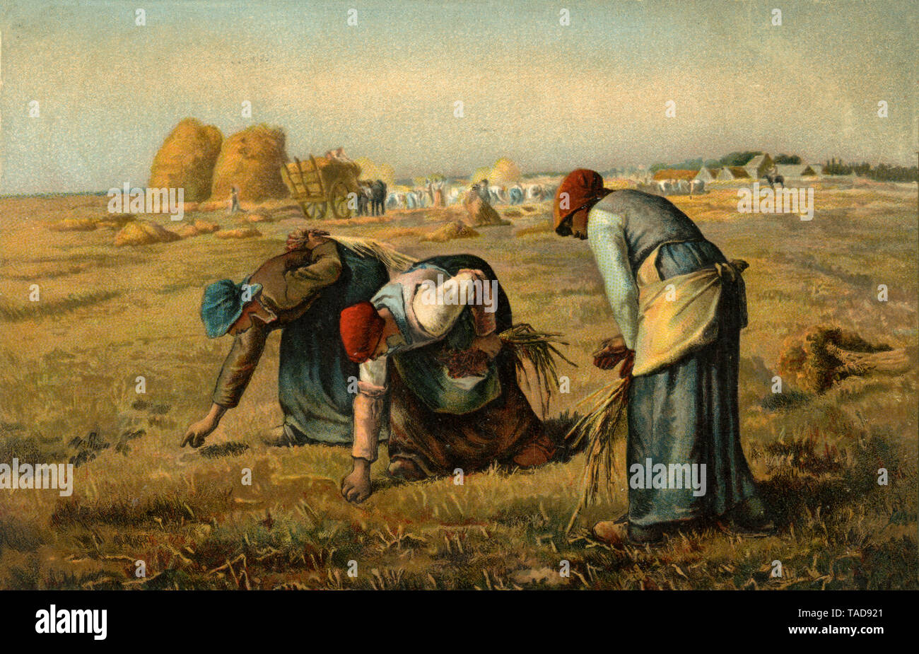 Les glaneuses. Photo Carte postale, utilisé en 1909. Lithographie couleur après la peinture de Jean-François Millet , Jean-François Millet (carte postale, ) Banque D'Images