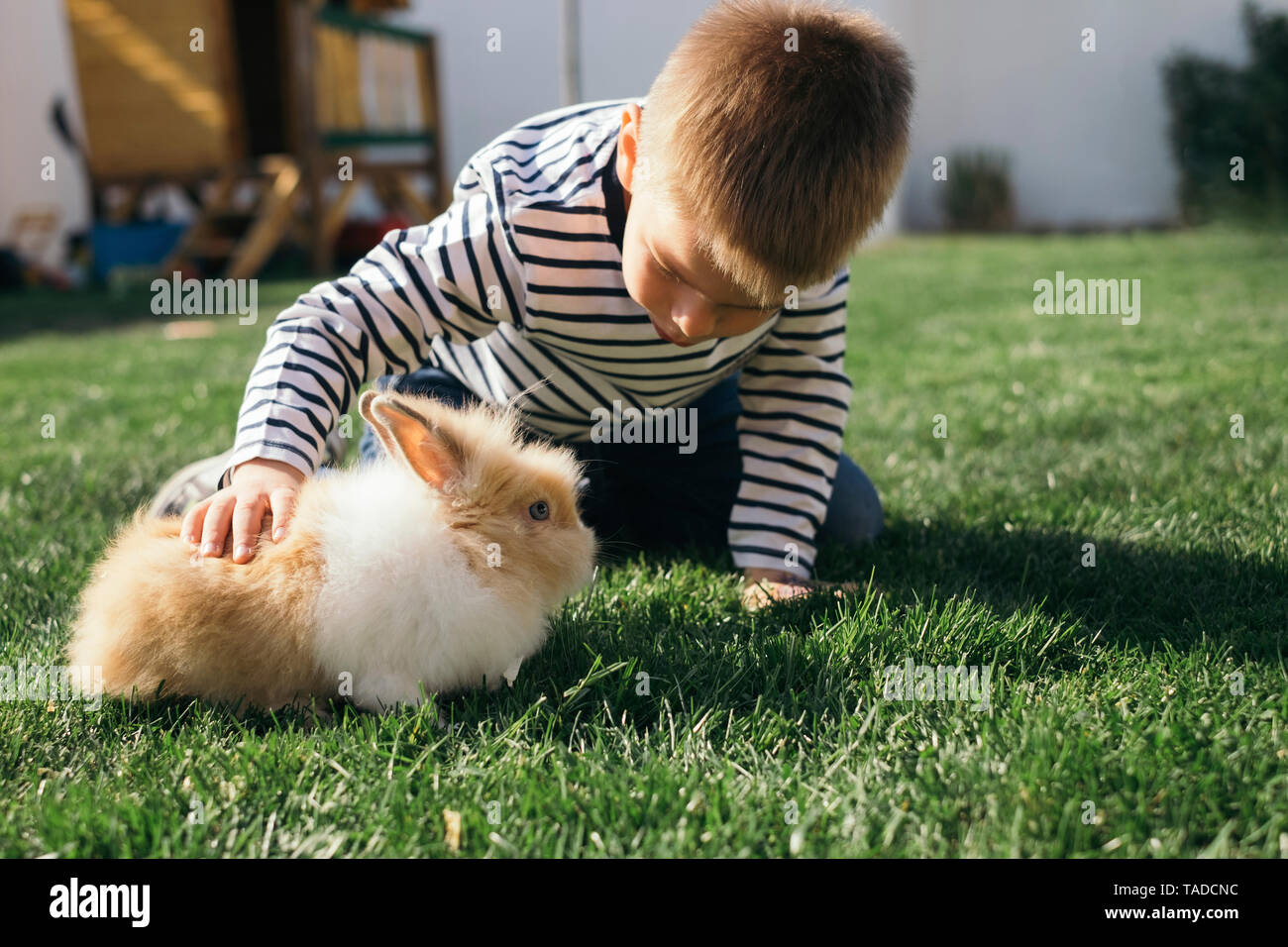 Petit garçon de flatter un bunny in garden Banque D'Images