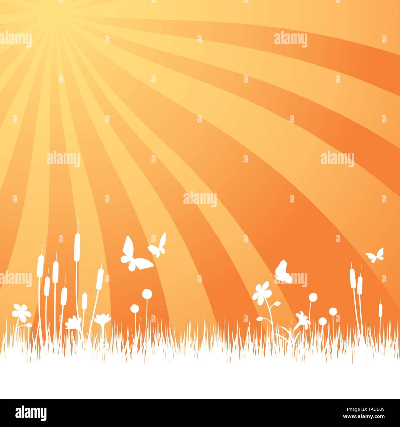 Arrière-plan de jardin avec prairie, fleurs et papillons, à sunrise vector illustration Illustration de Vecteur
