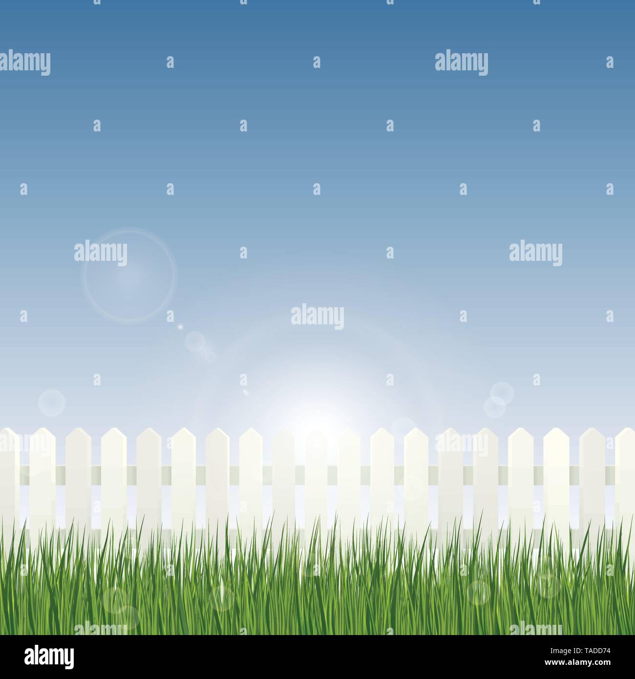 Lever du soleil dans le jardin. Arrière-plan avec soleil levant, picket fence et pelouse vector illustration Illustration de Vecteur