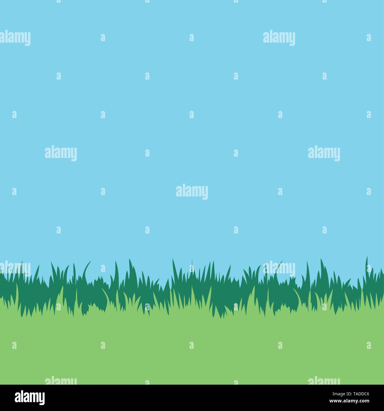 Arrière-plan de la pelouse. Brins d'herbe et de ciel bleu. Illustration vecteur de carrés. Illustration de Vecteur